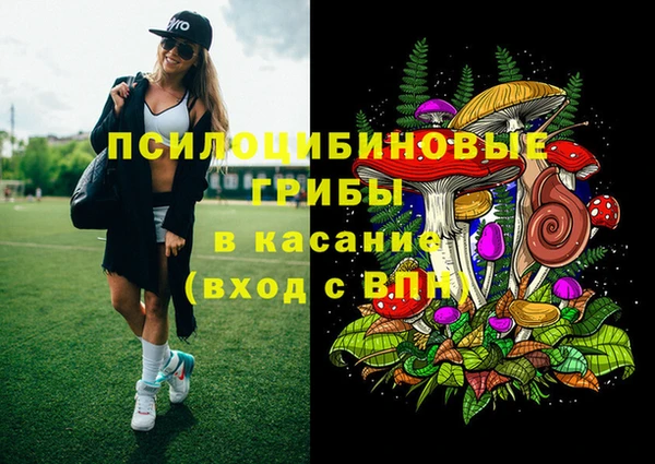 спайс Аркадак