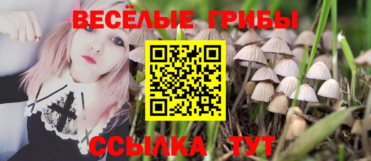 Псилоцибиновые грибы MAGIC MUSHROOMS Ухта
